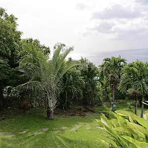 karureve.comcaribbean.com/